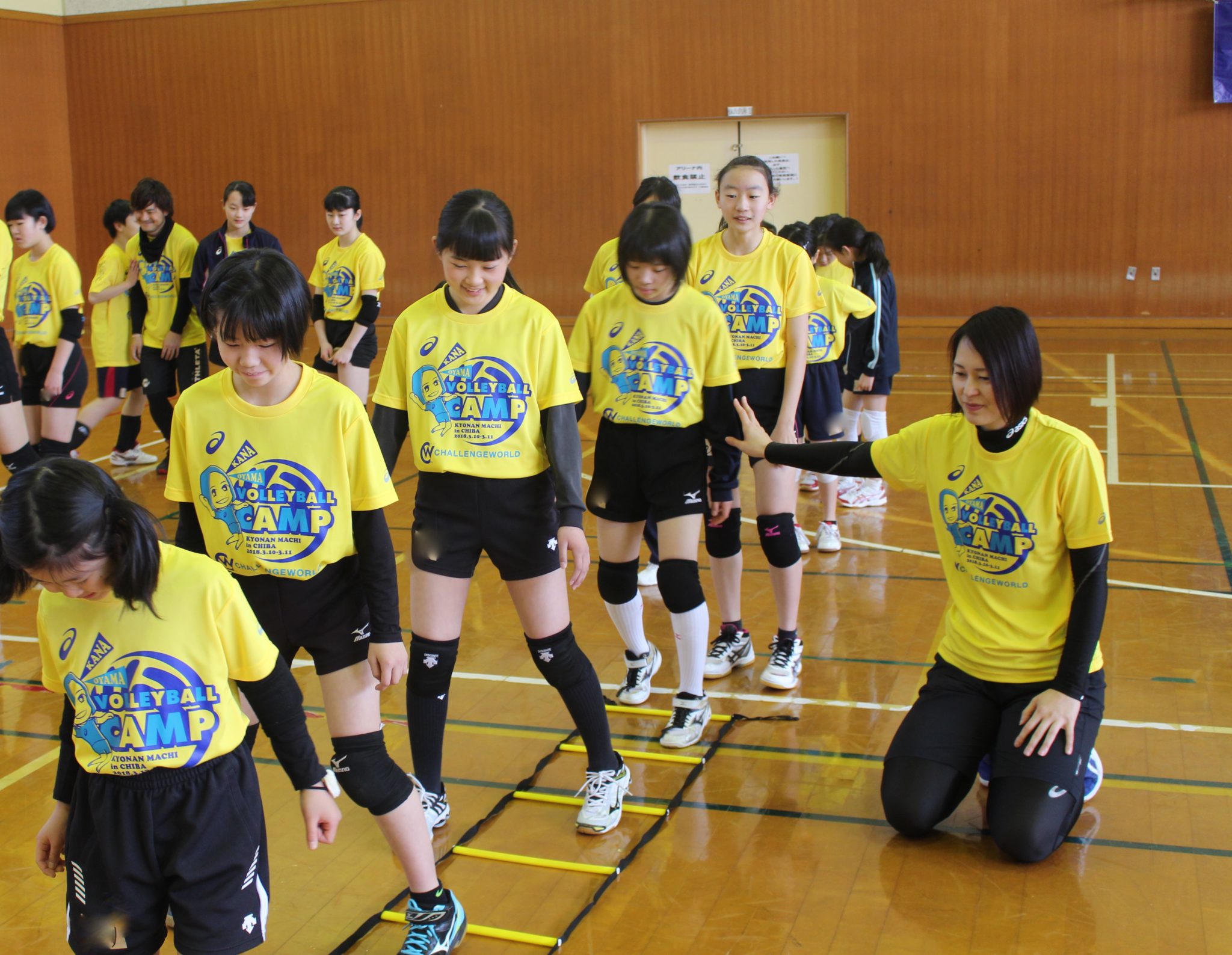 IMG_8528 IMG_8528
