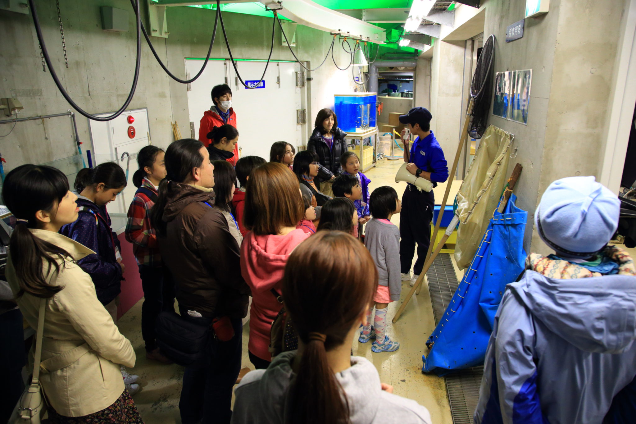 水族館裏方見学 水族館裏方見学
